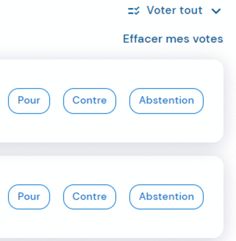 Animation voter tout